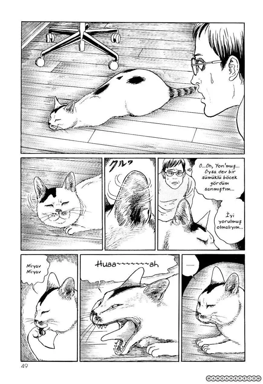 Ito Junji's Cat Diary Chapter 5 3